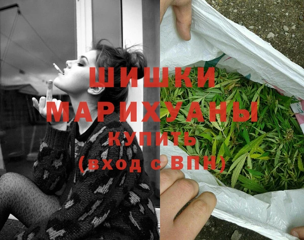 PSILOCYBIN Покачи