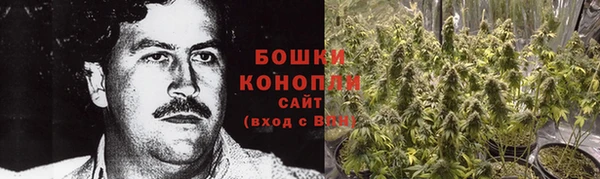 PSILOCYBIN Покачи