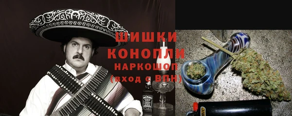PSILOCYBIN Покачи