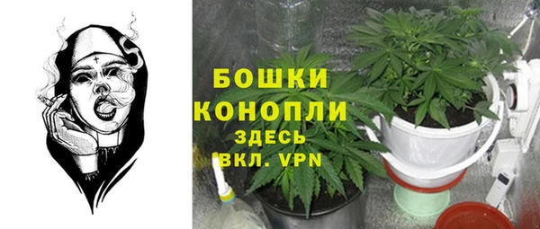 PSILOCYBIN Покачи