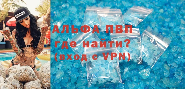 PSILOCYBIN Покачи