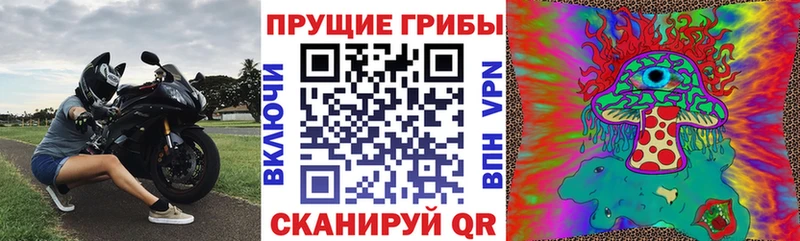 OMG рабочий сайт наркота Туран Галлюциногенные грибы Psilocybine cubensis